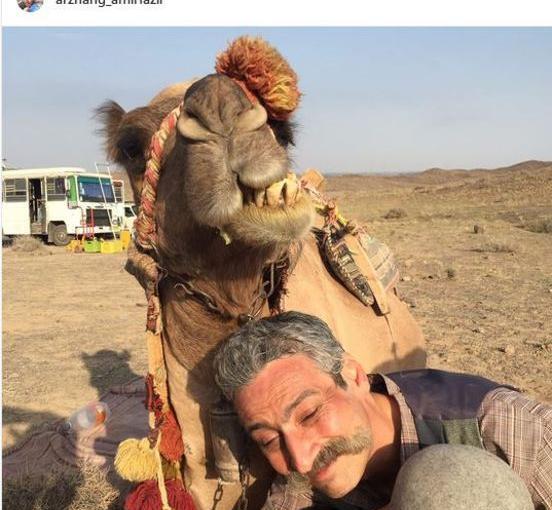 عکس شتر عجیب