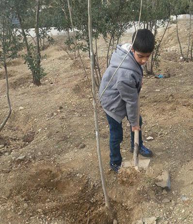 عکس کاشت نهال دانش آموزان