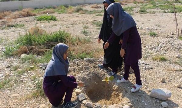 عکس کاشت نهال دانش آموزان