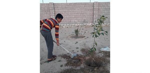 عکس کاشت نهال دانش آموزان