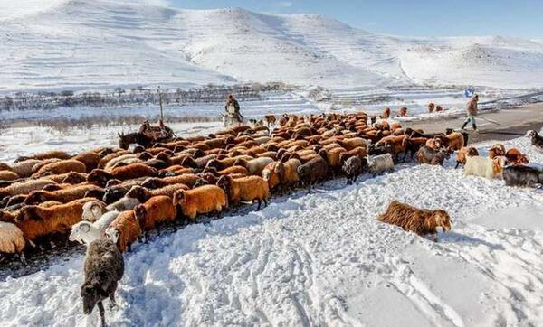 عکس روستا برف
