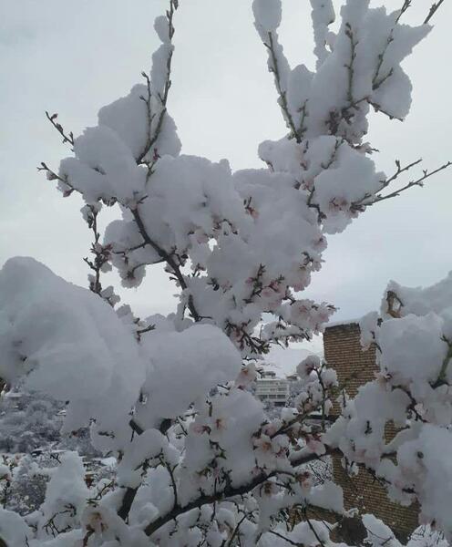 عکس روستا برف