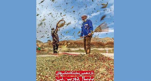 بهترین عکس سال ایران