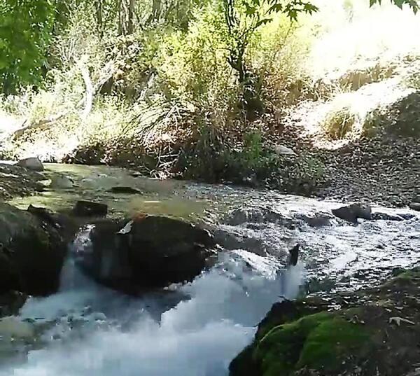 عکس روستا خبر