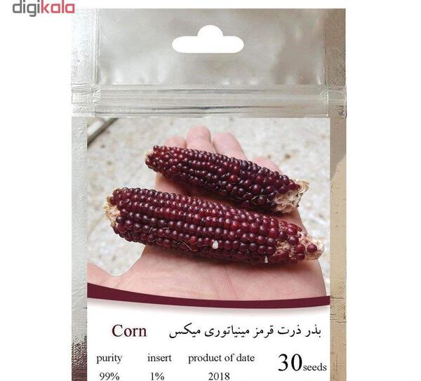 عکس رنگ آمیزی ذرت