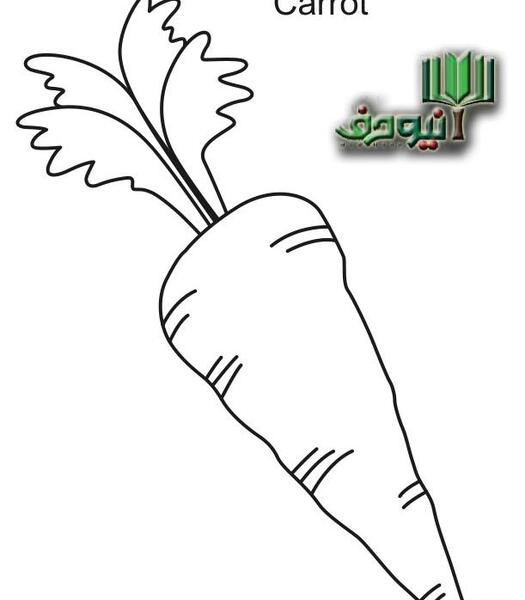 عکس رنگ آمیزی ذرت