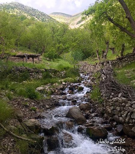 عکس شهر جوانرود