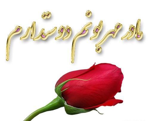 عکس گل دوست دارم