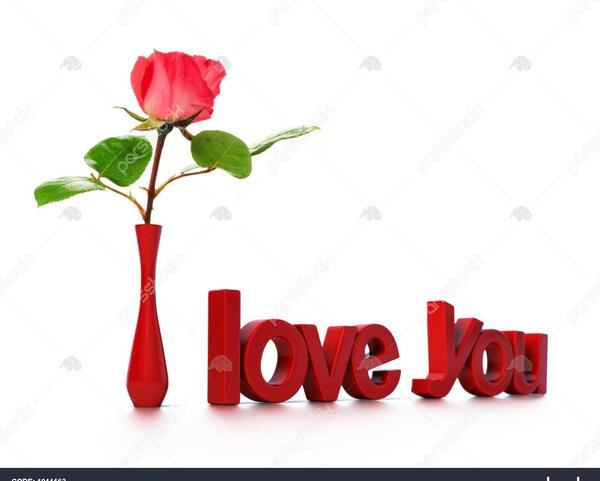 عکس گل دوست دارم