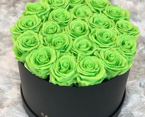 عکس گل رز سبز