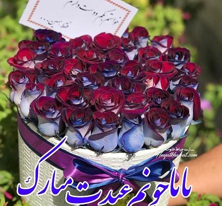عکس جون بابا