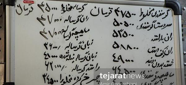 عکس گوشت شتر مرغ