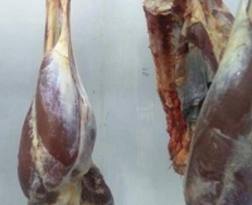عکس گوشت شتر مرغ