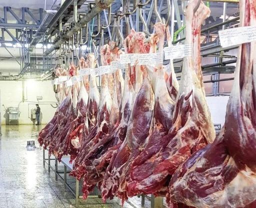 عکس گوشت شتر مرغ