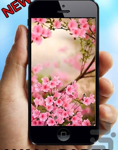 عکس زمینه گوشی بهاری