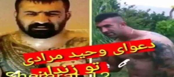 عکس وحید مرادی دعوا