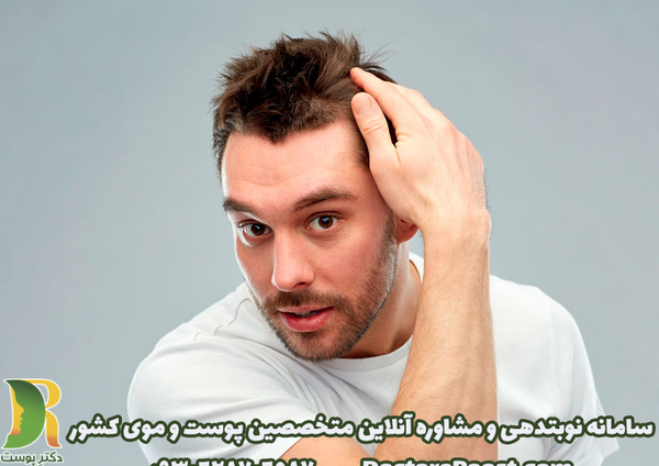 عکس شپش ریش