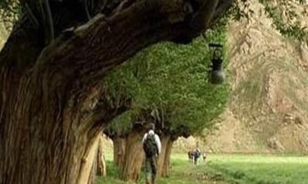 عکس طبیعت لواسان