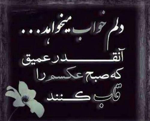 عکس قبر شکست عشقی