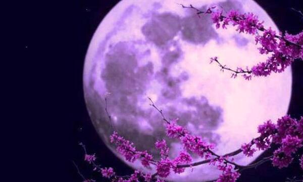 عکس شب و مهتاب