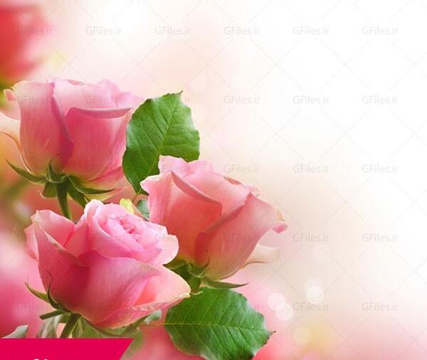 عکس زمینه گل