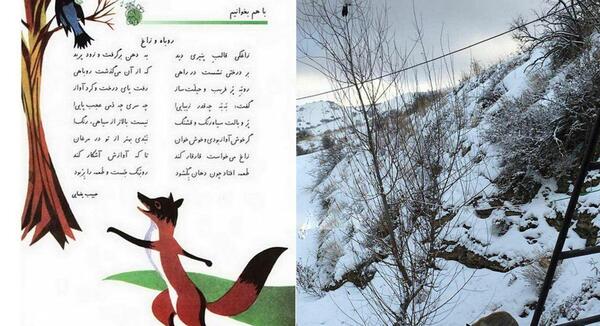 عکس روباه و زاغ