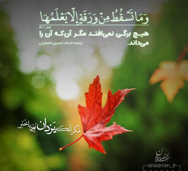 عکس آیه قرآن کریم