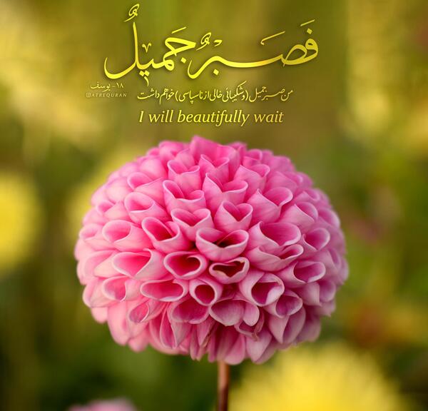 عکس آیه قرآن کریم