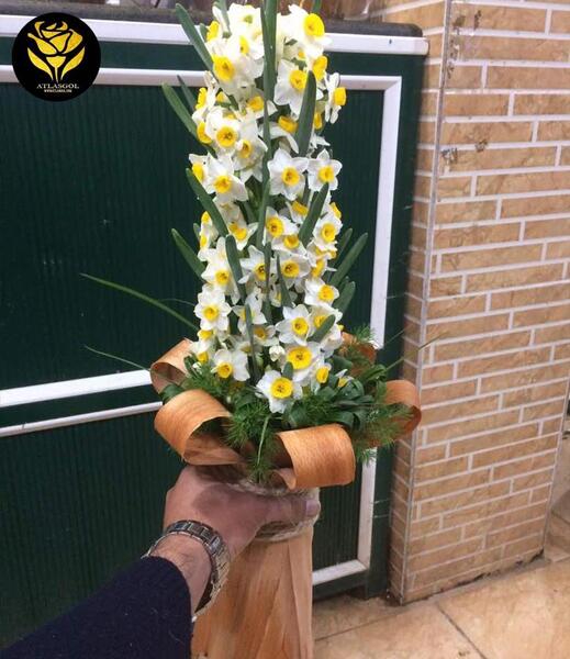 عکس دسته گل گل نرگس