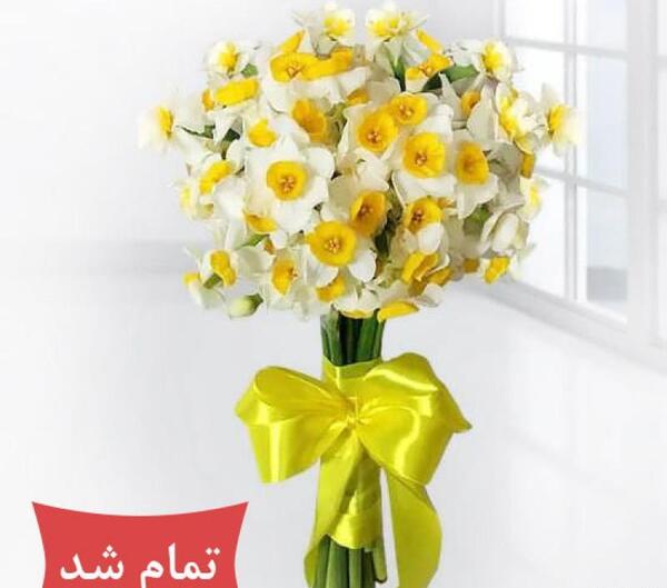 عکس دسته گل گل نرگس