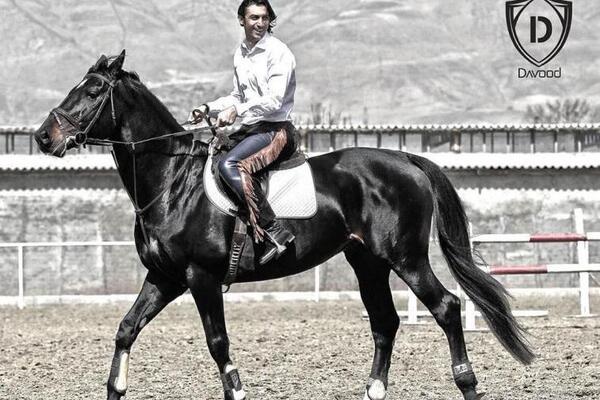 عکس شاه سوار بر اسب