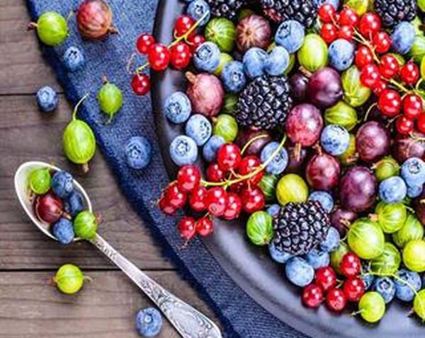 عکس های زغال اخته