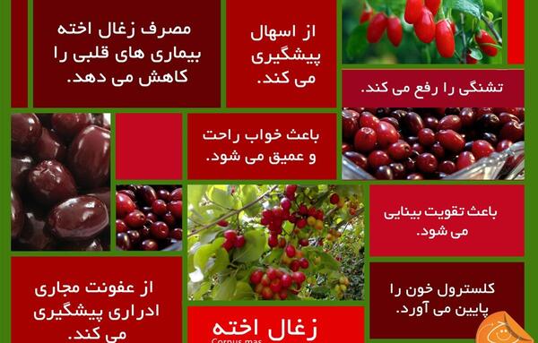 عکس های زغال اخته