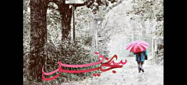 عکس نوشته سفر بی خطر