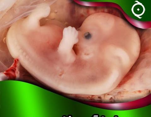 لخته خون عکس لکه بینی قهوه ای در بارداری