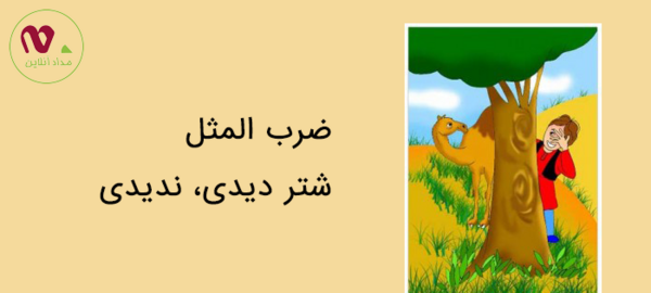 عکس ضرب المثل شتر دیدی ندیدی