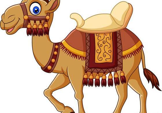 عکس ضرب المثل شتر دیدی ندیدی