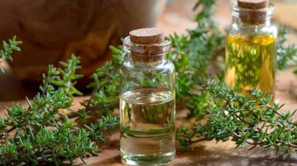 عکس روغن اویشن