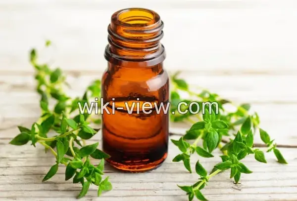 عکس روغن اویشن