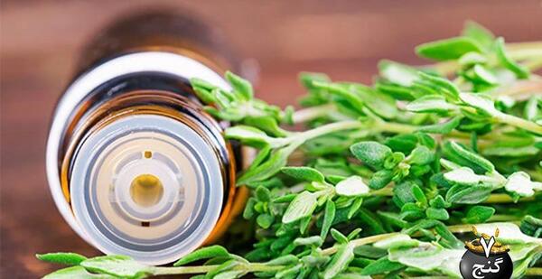 عکس روغن اویشن