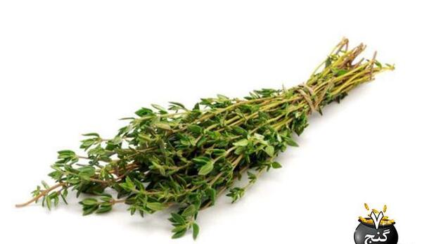 عکس روغن اویشن