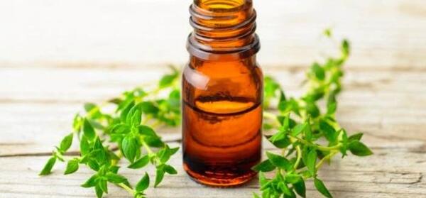 عکس روغن اویشن