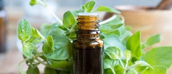 عکس روغن اویشن