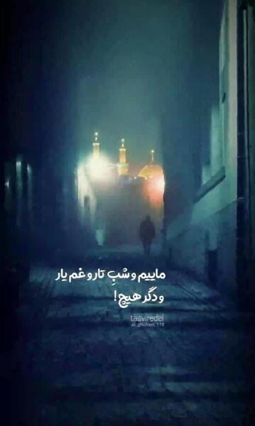 عکس استوری حرم امام حسین