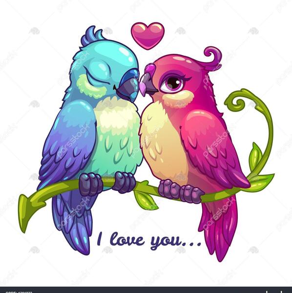 عکس طوطی عاشقانه