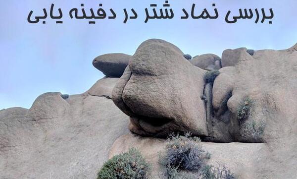 عکس شتر در دفینه