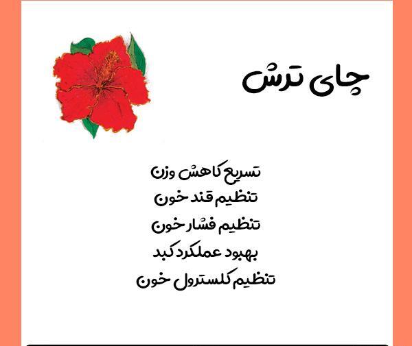 عکس چای ترش نیوشا