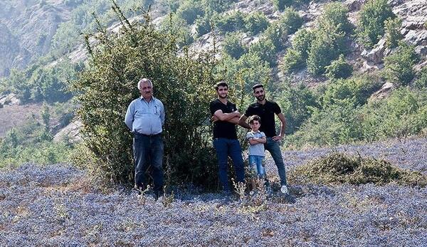عکس روستای لیند سوادکوه