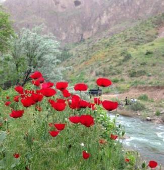 عکس روستا میانه