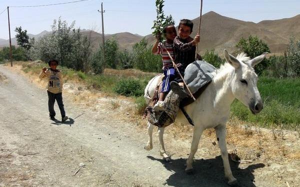 عکس روستای ثمرین